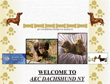 Tablet Screenshot of akcdachshundny.com